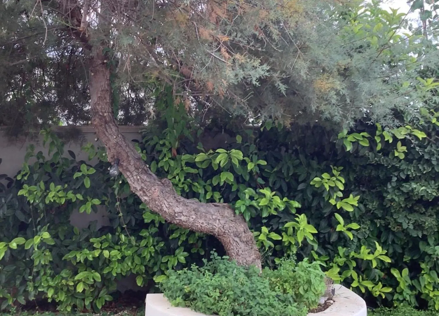 Dimora Dell'Ozio In Riva Al Mare Villa Marzamemi Italy